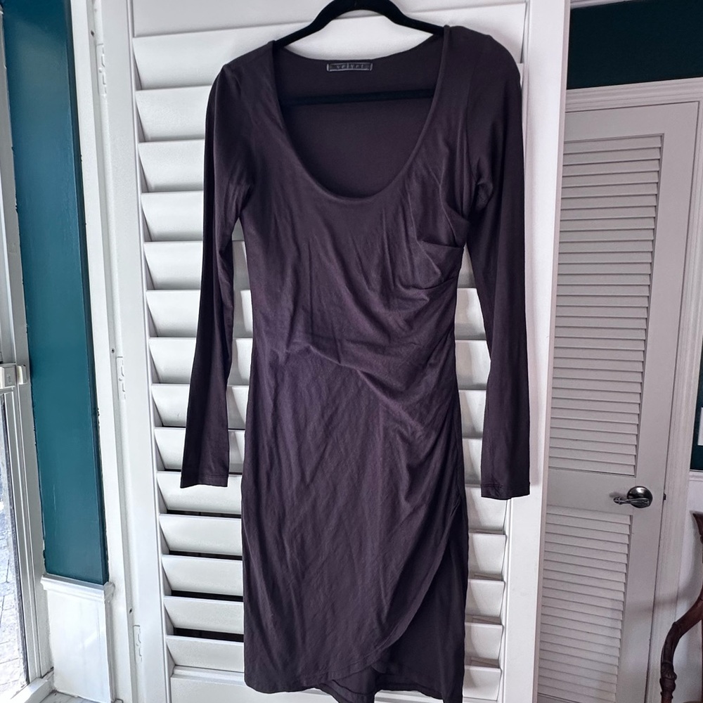 Velvet Elegant Long Sleeve Dress in brown